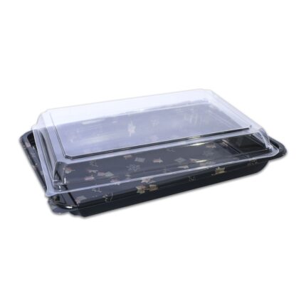 Sushi Container Plastic with Lids